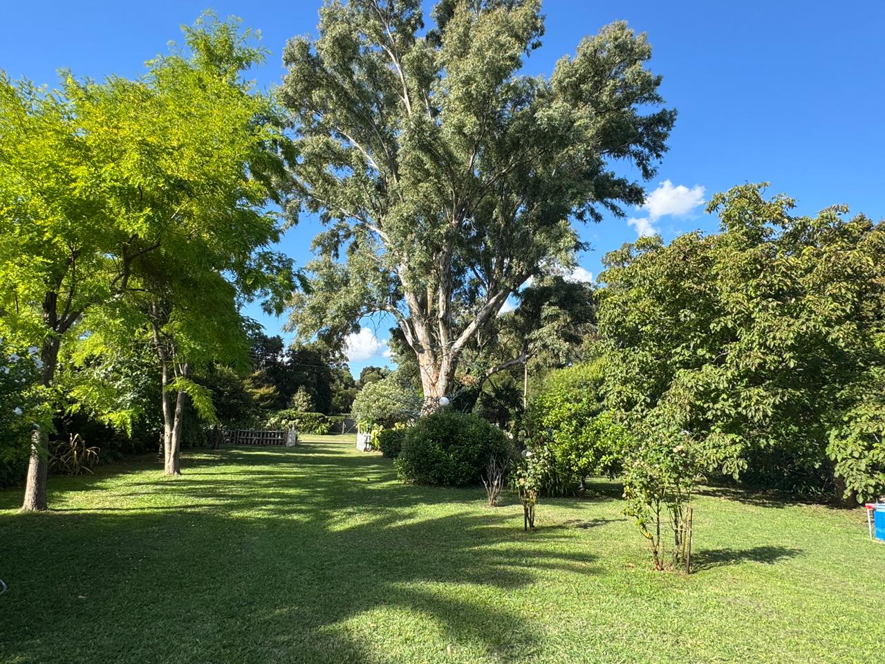 190088f8-0298-4df4-9e64-afb8bc15ccbe