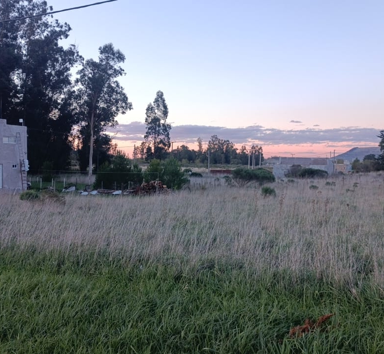 Terrenos en Venta en Av 39 e/ 56 y 58