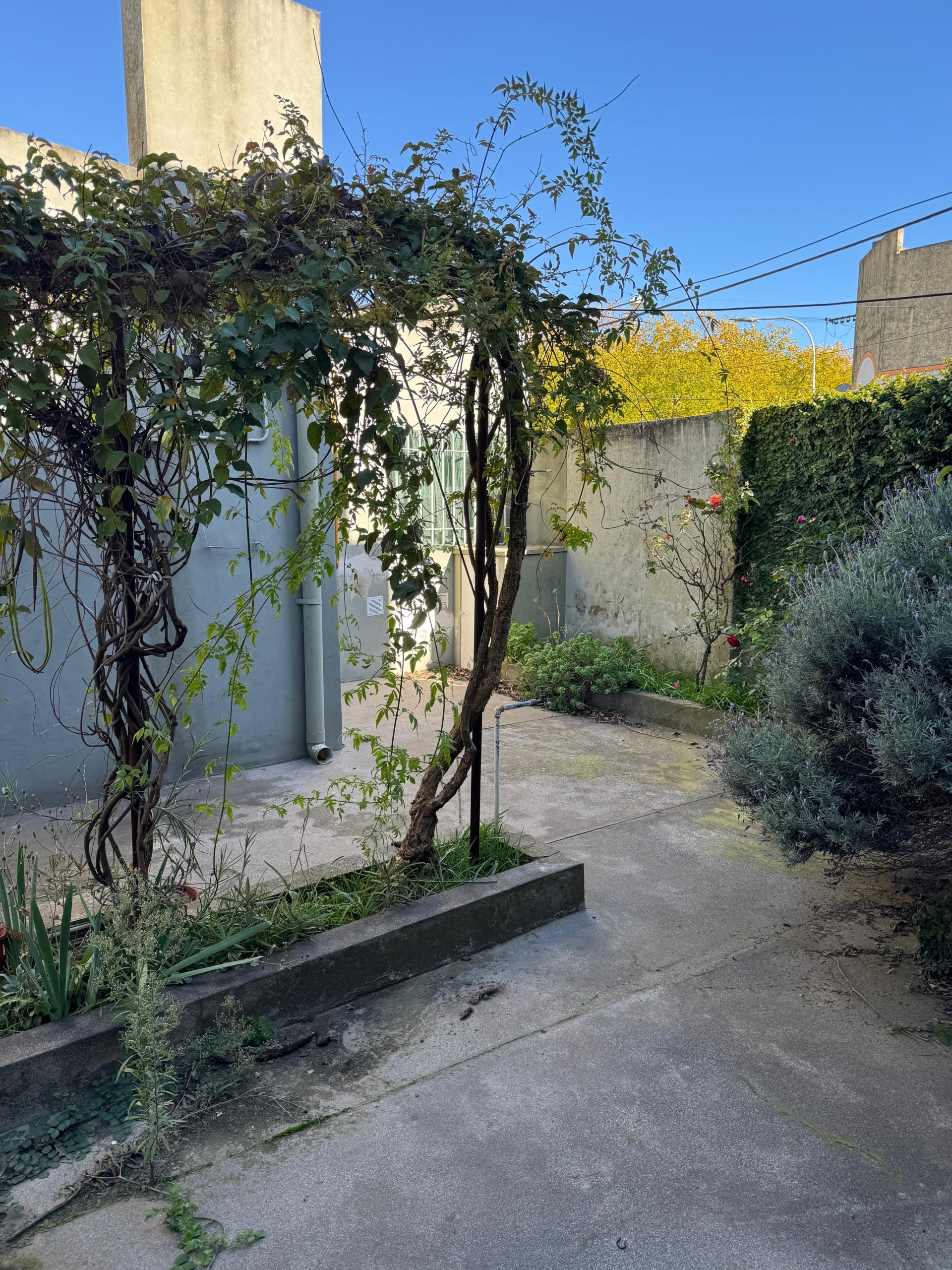 Imagen de WhatsApp 2025-04-30 a las 11.42.49_45c93cd3