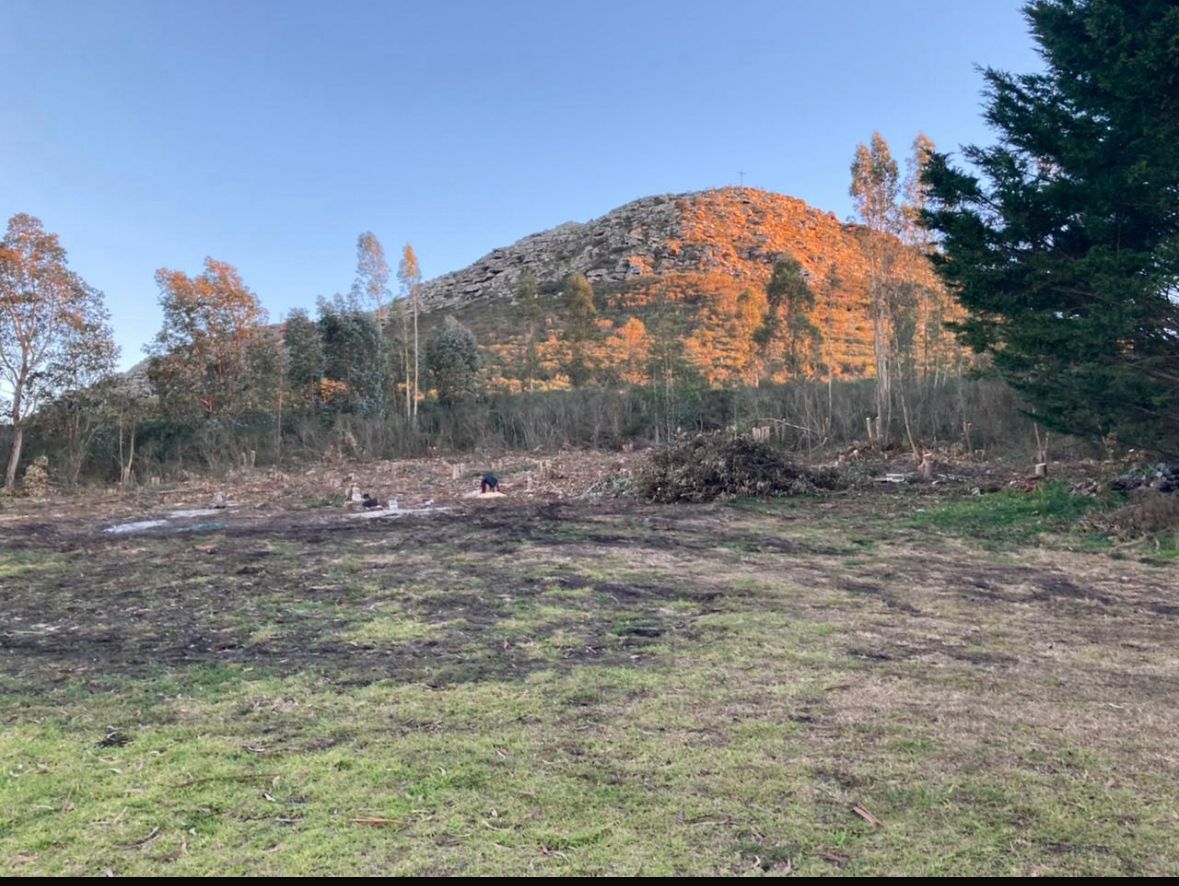 Imagen de WhatsApp 2025-11-04 a las 11.19.12_81226ae5