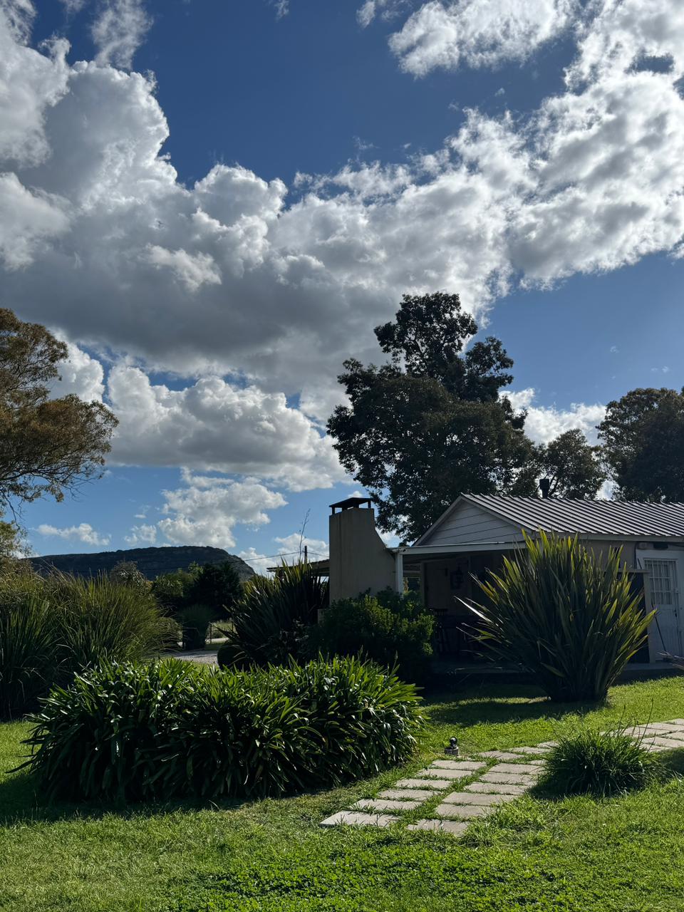 Imagen de WhatsApp 2025-11-13 a las 13.19.06_e80a89cb