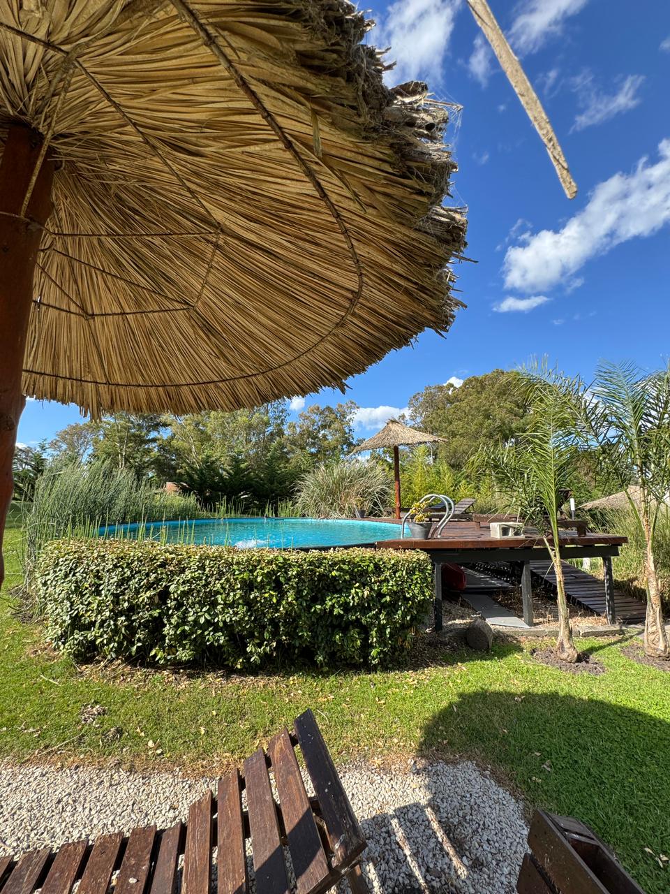 Imagen de WhatsApp 2025-11-13 a las 13.19.08_e6b9008c