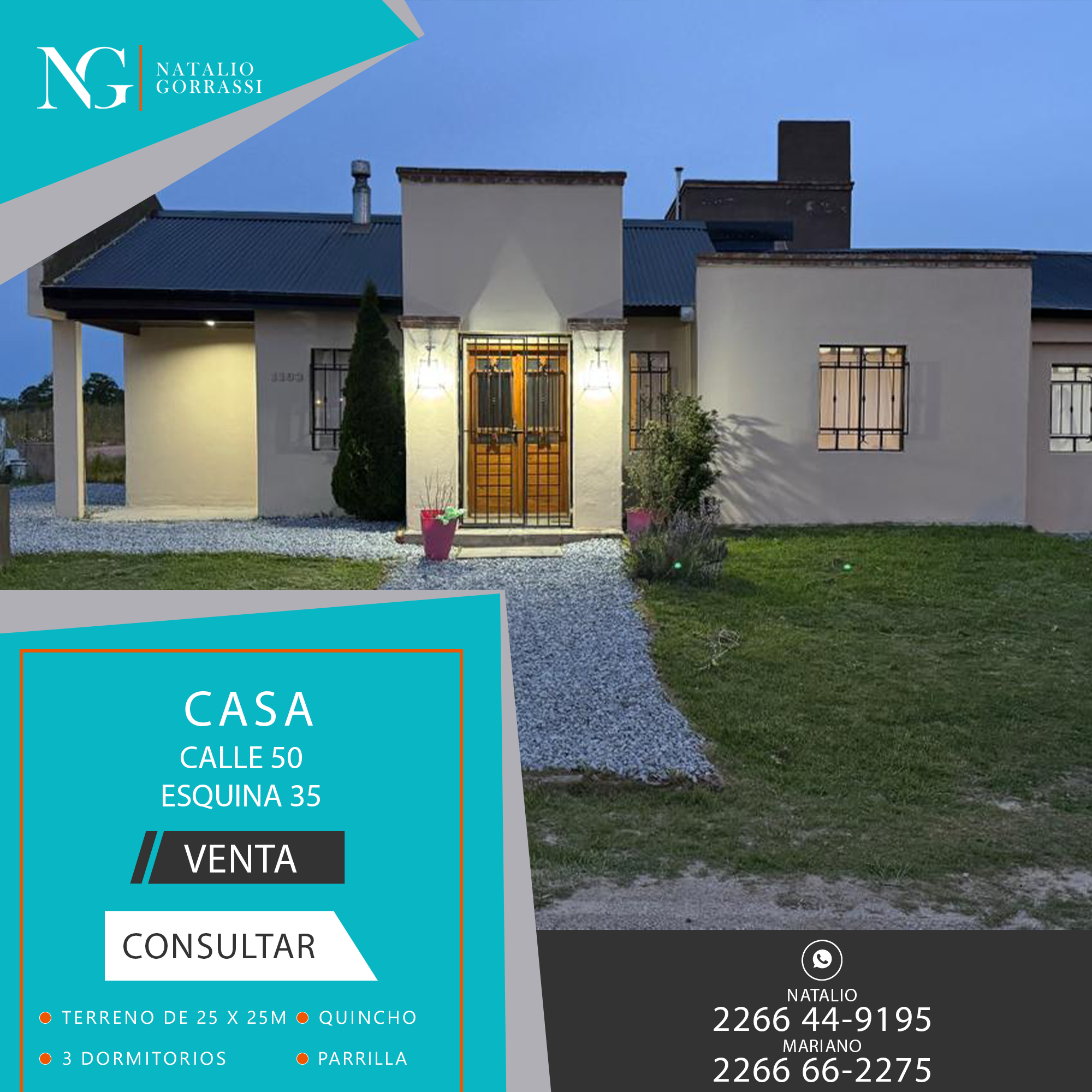 Plantilla Natalio Gorrassi Propiedades Fondo de Comercio copia