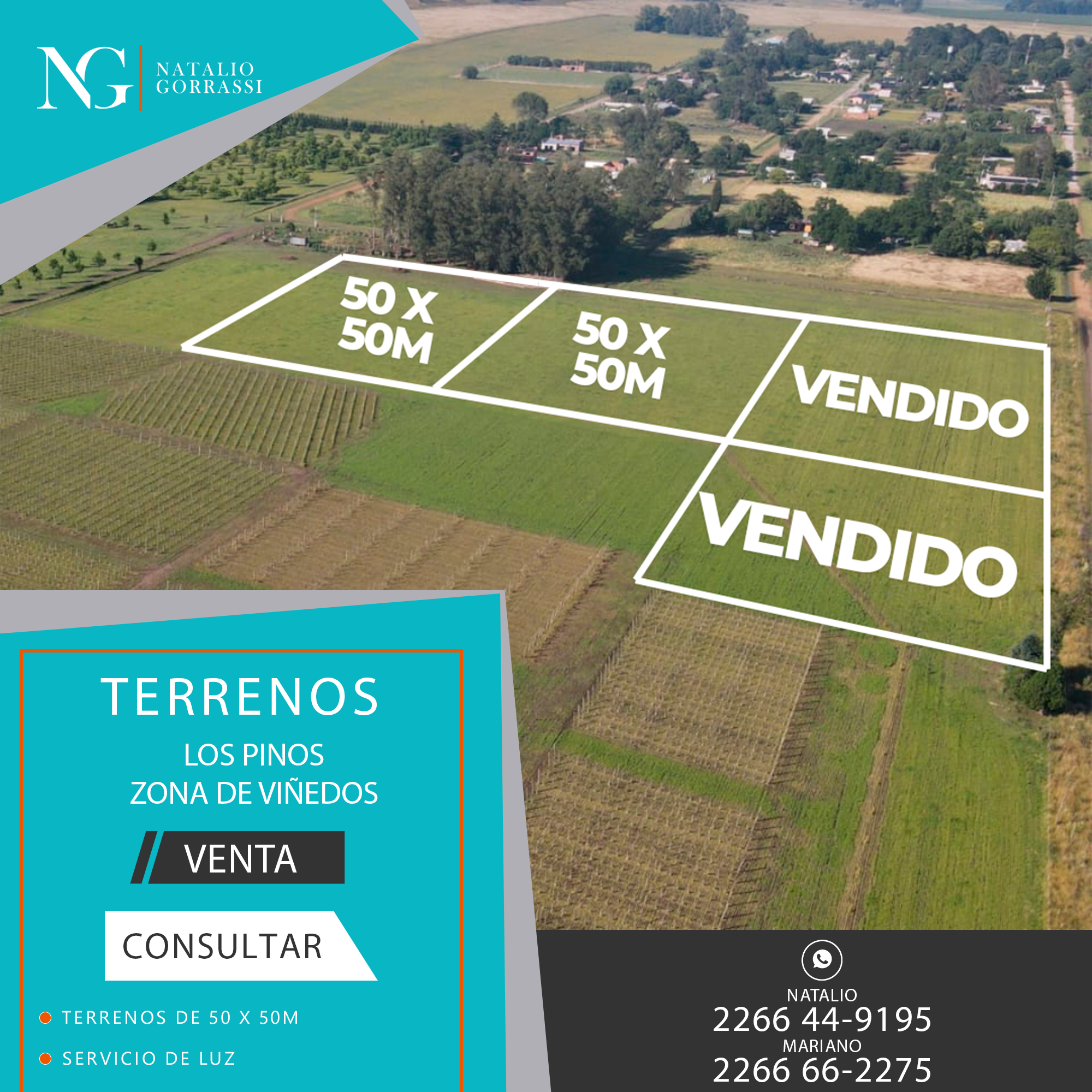 Plantilla Natalio Gorrassi Propiedades Galpón – Terreno copia