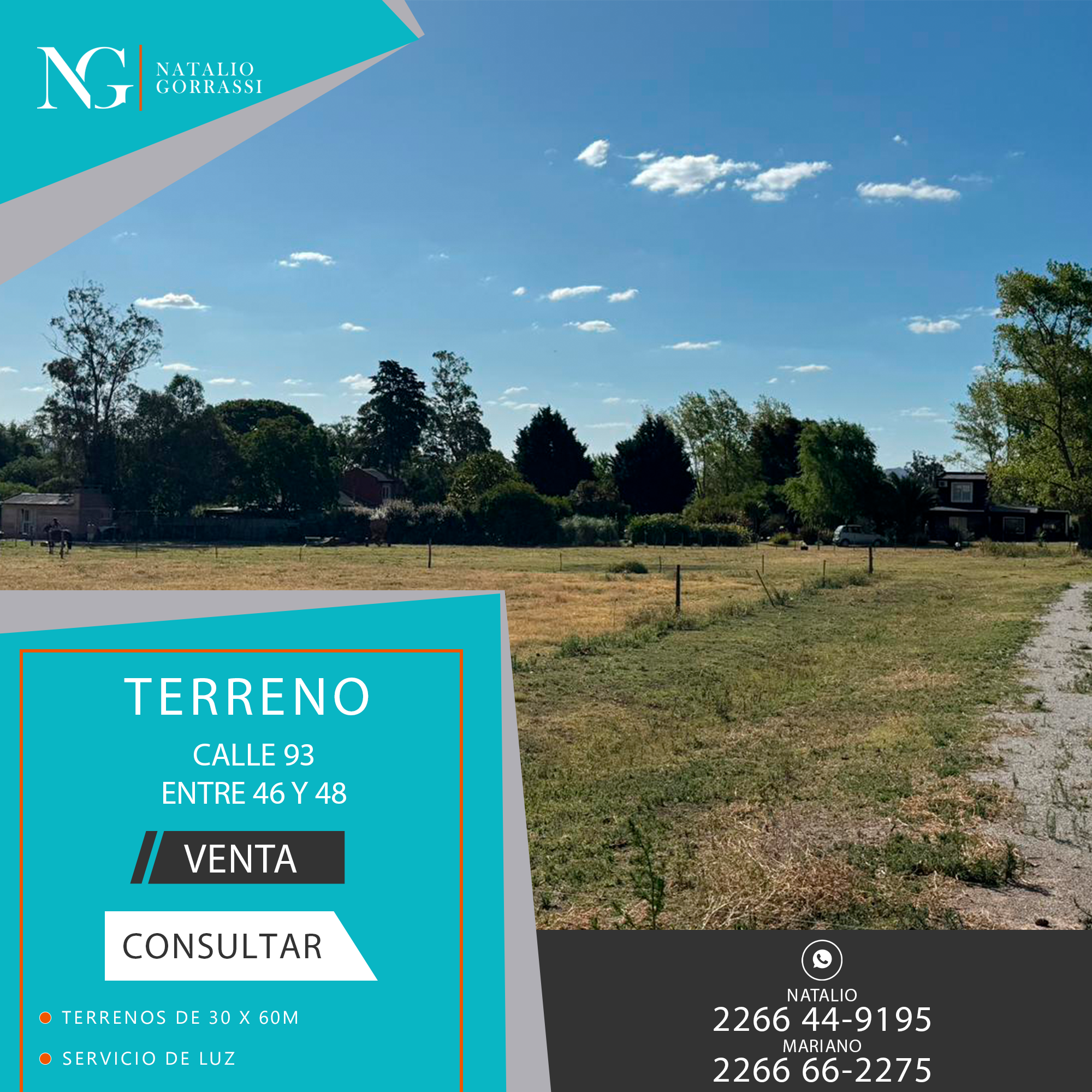 Plantilla Natalio Gorrassi Propiedades Galpón – Terreno copia