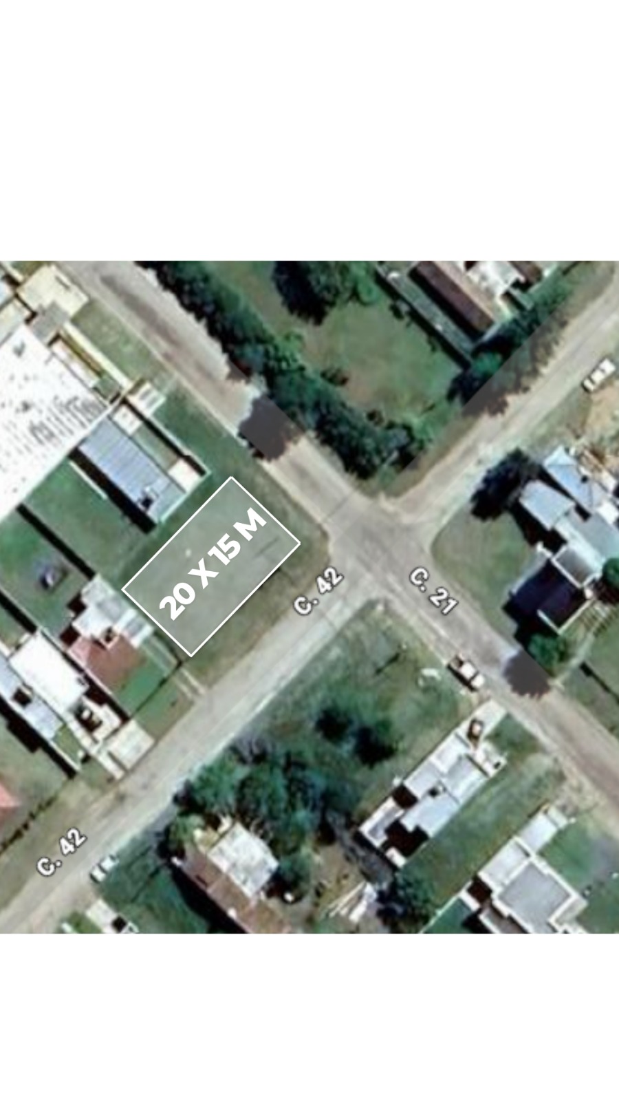 WhatsApp Image 2026-01-09 at 11.03.09