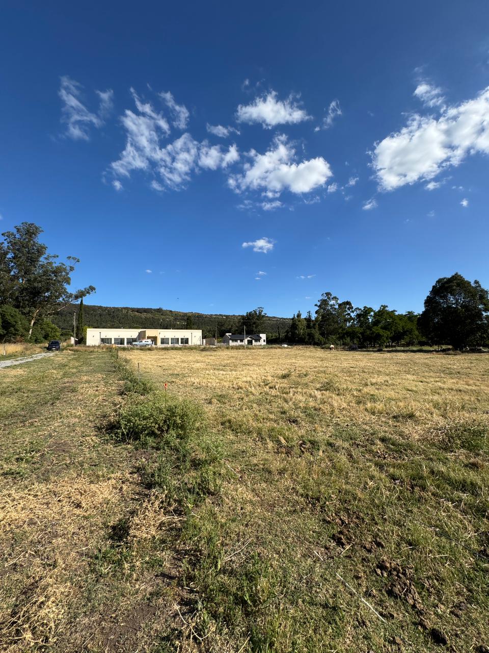 WhatsApp Image 2026-01-20 at 0