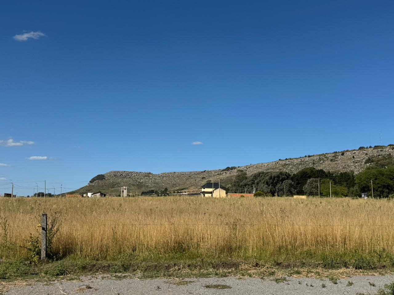 WhatsApp Image 2026-01-20 at 17.51.17