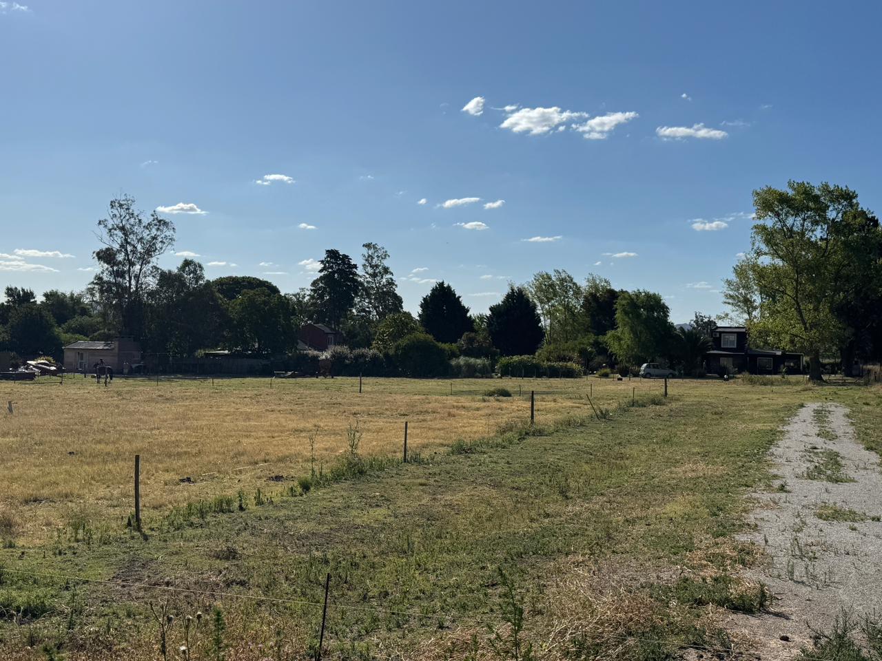 WhatsApp Image 2026-01-20 at 17.51.179