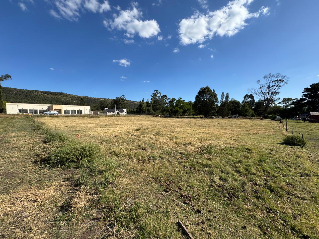 WhatsApp Image 2026-01-20 at 17.51.18