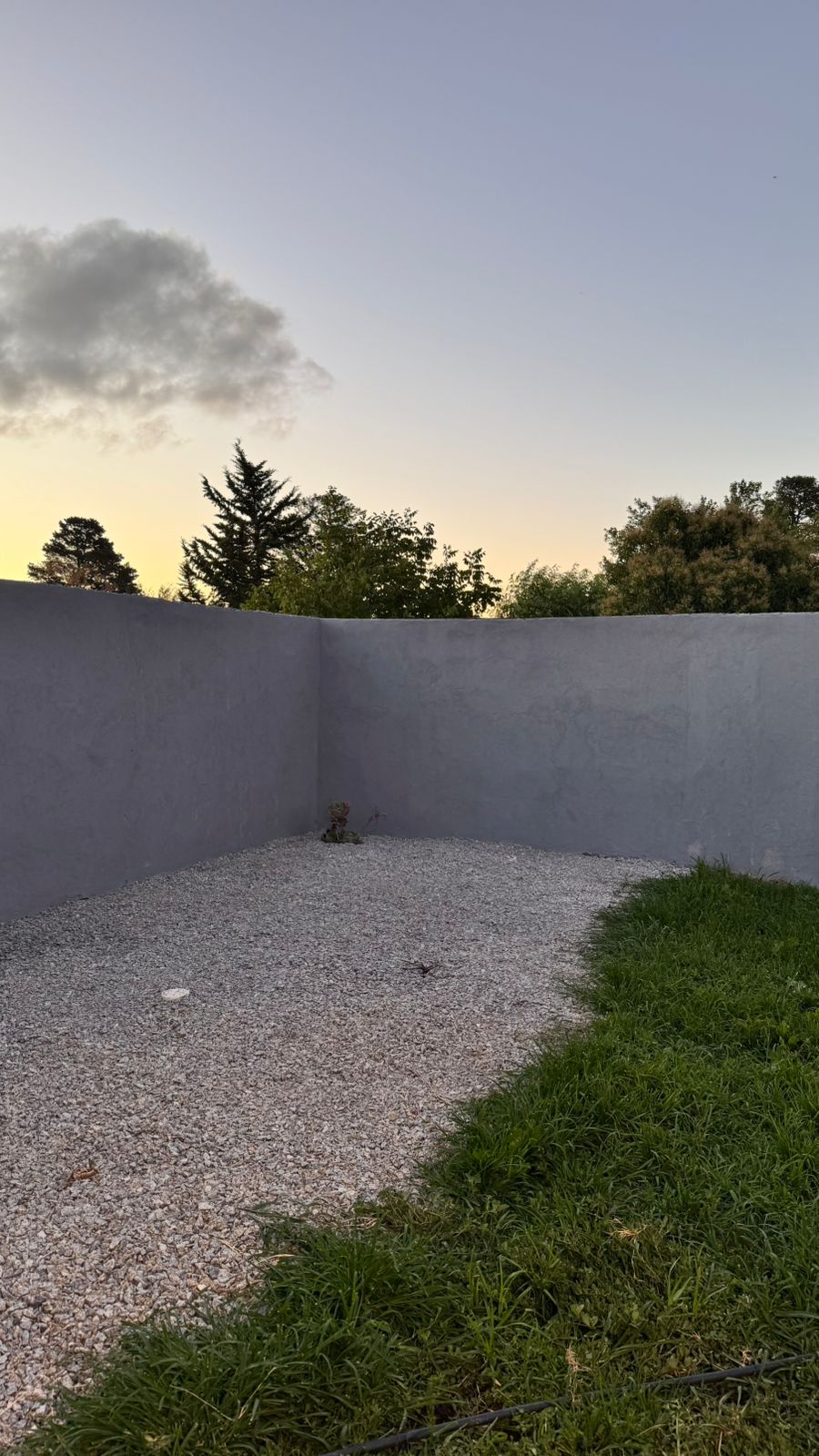 WhatsApp Image 2026-01-21 at 15.53.454