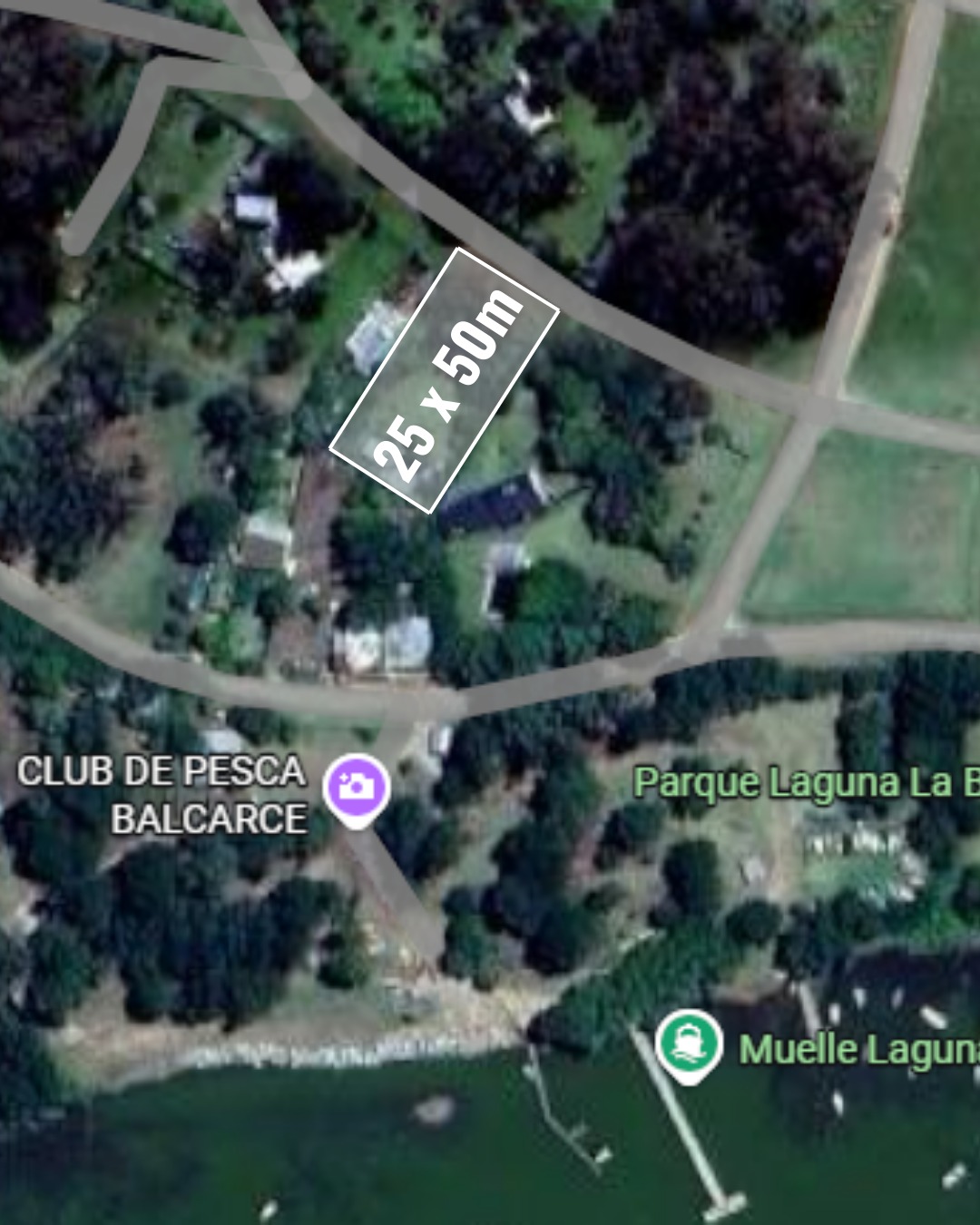 WhatsApp Image 2026-03-02 at 11.43.22