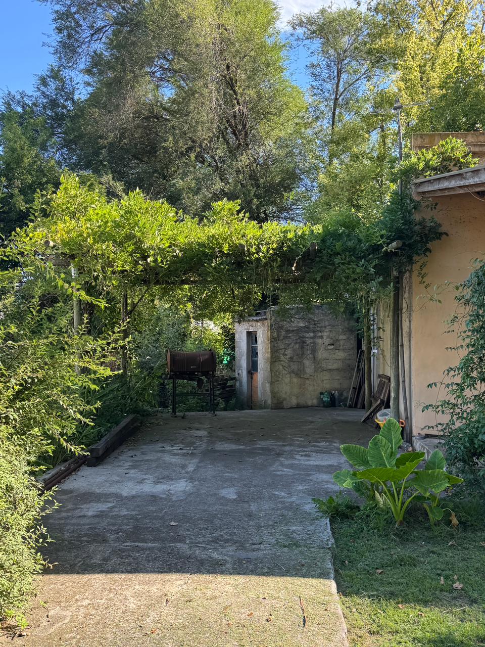 b5ea896c-4372-43bd-b741-4599e9ed68e4