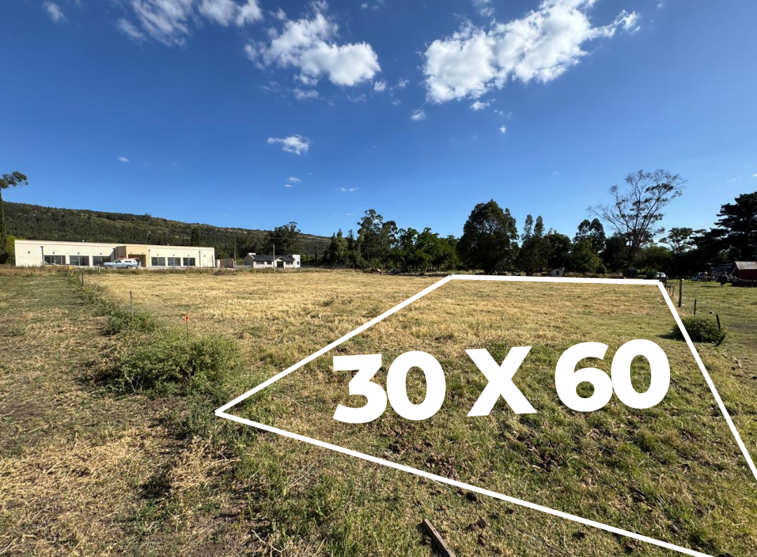 terreno historia (28)